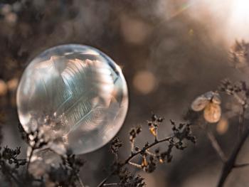 Orbe des neiges gaia-seva Orbe des neiges gaia-seva