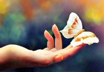 Initiation au clair senti gaia-seva Initiation au clair senti gaia-seva