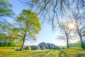 Activation dolmen gaia-seva