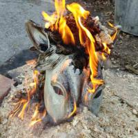 sortie du four et copeaux de bois